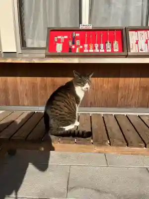 一宮神社(福岡県)