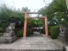 堀越神社(大阪府)