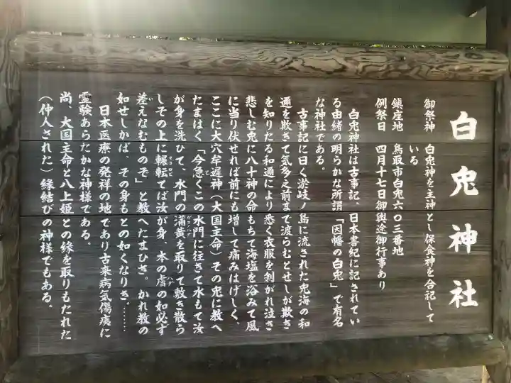 白兎神社(鳥取県)