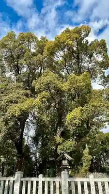 和泉國一之宮　大鳥大社(大阪府)