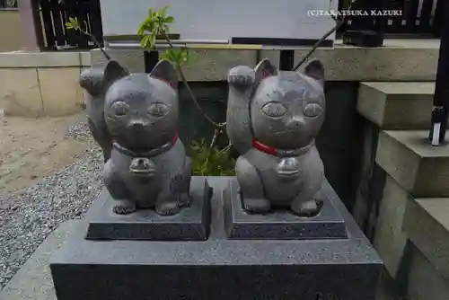 今戸神社(東京都)