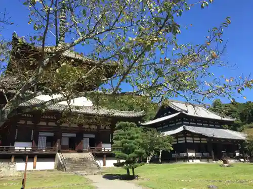 根来寺の本殿・本堂