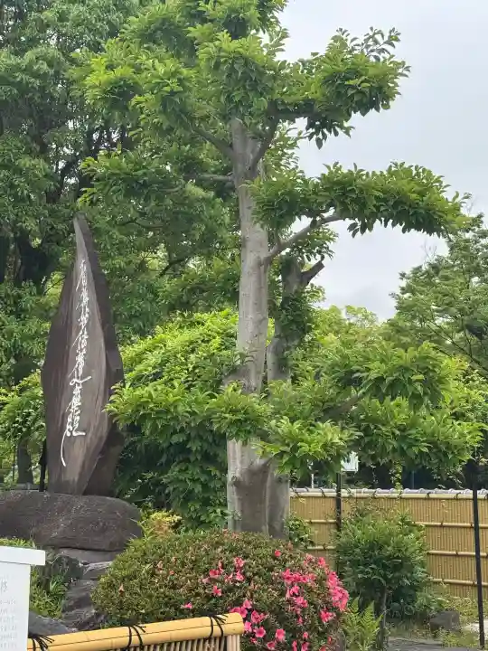 太閤山常泉寺の{uncategorized: "未分類", other: "その他", undefined: "問題あり", building: "その他建物", grave: "お墓", sacred_gate: "鳥居", guardian: "狛犬", statue: "像", buddha: "仏像", history: "歴史", nature: "自然", garden: "庭園", animal: "動物", pagoda: "塔", temizu: "手水舎", mountain_gate: "山門・神門", sanctuary: "本殿・本堂", subordinate: "末社・摂社", art: "芸術", scenery: "景色", jizo: "地蔵", ema: "絵馬", goshuin: "御朱印", omikuji: "おみくじ", items: "授与品その他", amulet: "お守り", goshuincho: "御朱印帳", eats: "食事", festival: "お祭り", votive_dance: "神楽", shichigosan: "七五三参", wedding: "結婚式", experience: "体験その他", initially: "初詣", around: "周辺", anti_infection: "感染症対策"}