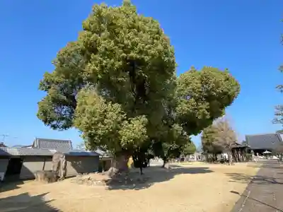 金倉寺(香川県)