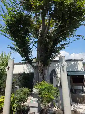甲斐奈神社(山梨県)