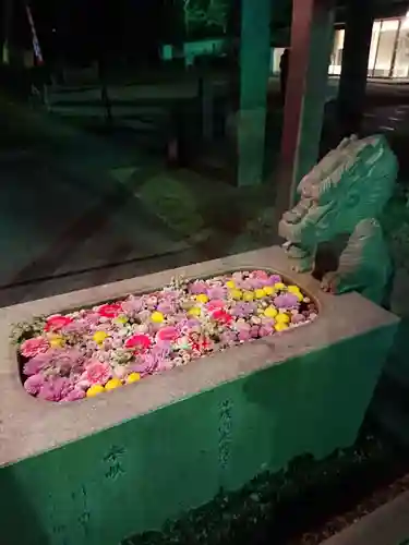 龍城神社の手水舎