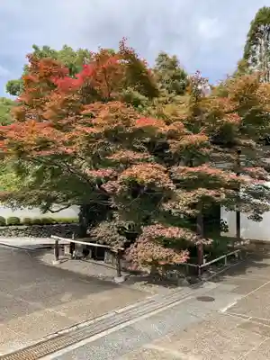 青蓮院門跡(京都府)