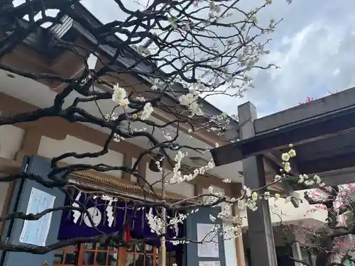 穏田神社(東京都)
