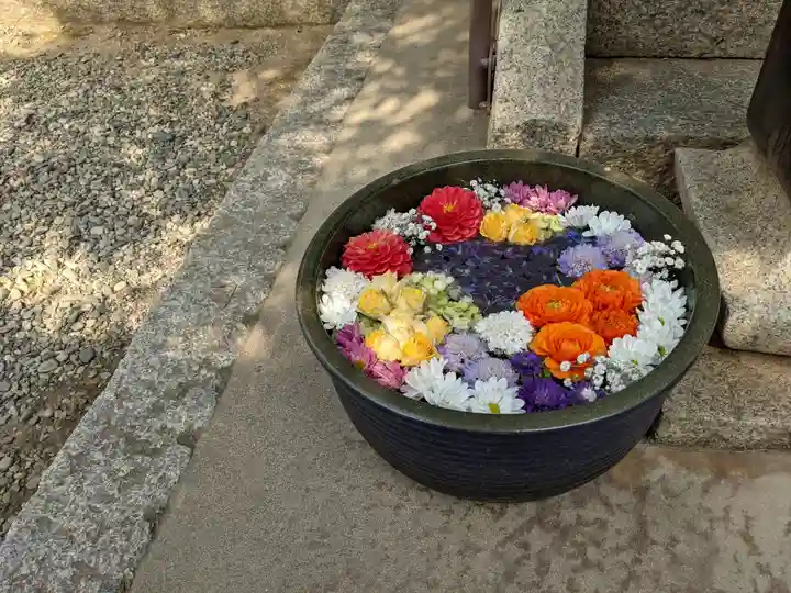 山﨑八幡宮の手水舎