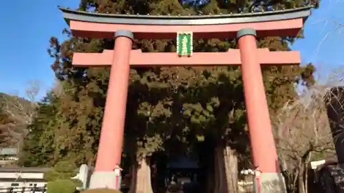 河口浅間神社の鳥居