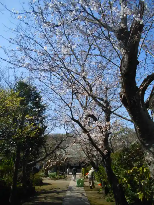 極楽寺(霊鷲山感應院極楽律寺)の景色