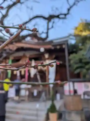鳩森八幡神社(東京都)
