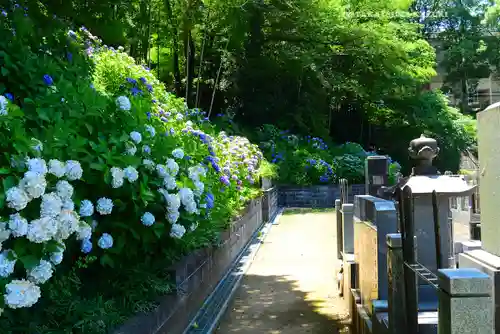 天台宗　長窪山　正覚寺(神奈川県)