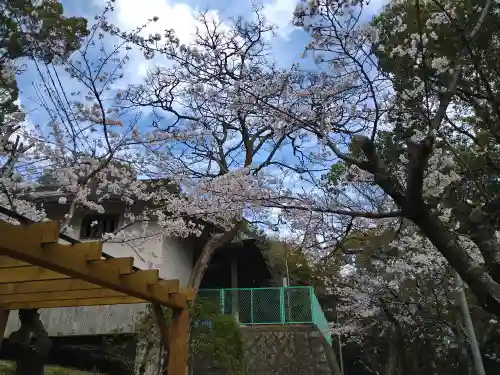 阿智神社の景色