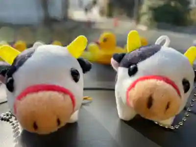 鷲宮神社(埼玉県)