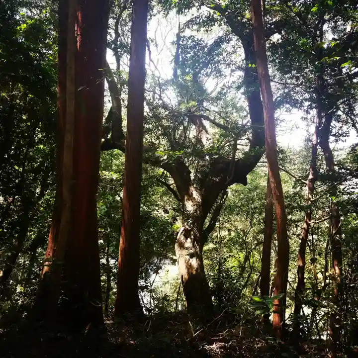 鹿島神宮の自然