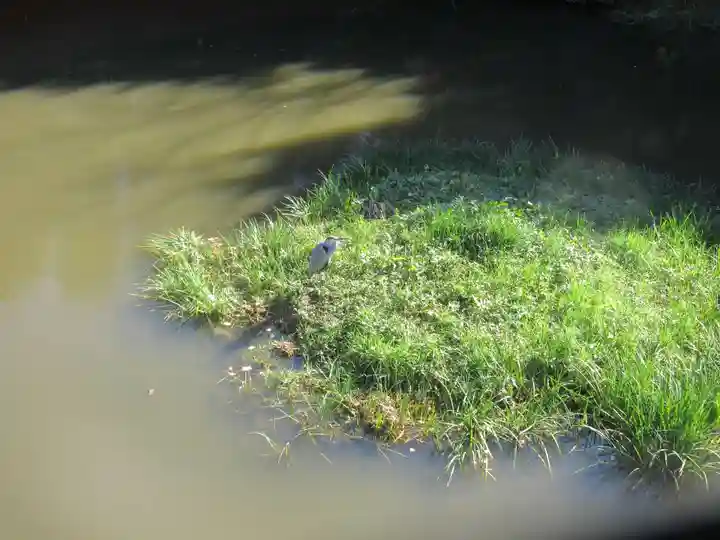 稱名寺(神奈川県)