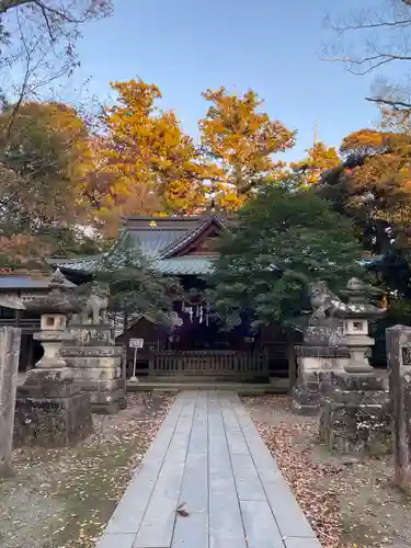 一ノ矢八坂神社(茨城県)