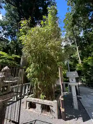 田村神社の自然
