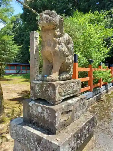 出石神社の狛犬