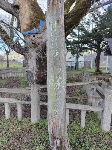 御田神社の自然