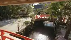 賀茂別雷神社（上賀茂神社）の自然