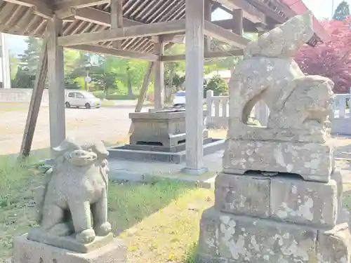 森町稲荷神社の狛犬