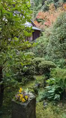 安楽寺(京都府)