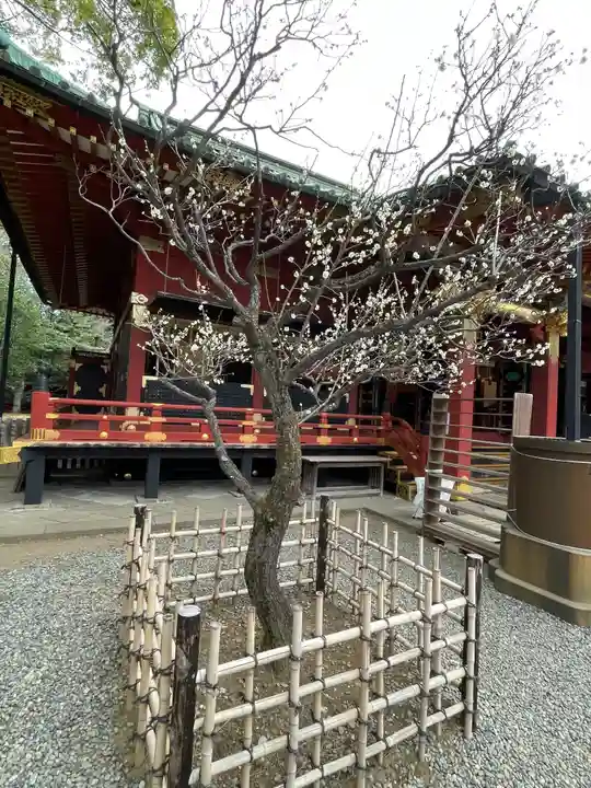 根津神社の自然