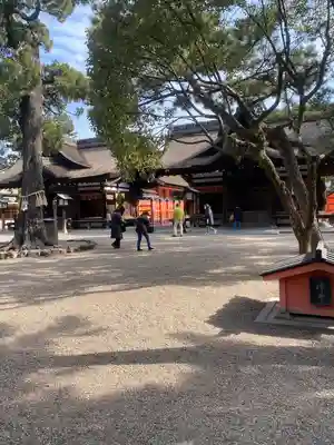 住吉大社(大阪府)