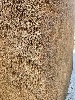 鳥飼八幡宮(福岡県)