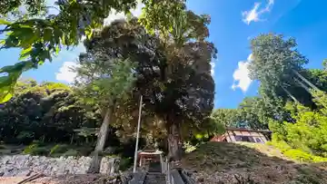 小讃岐神社(福井県)