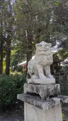 大井神社(京都府)