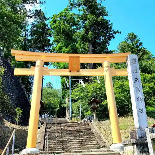 天宮神社の鳥居