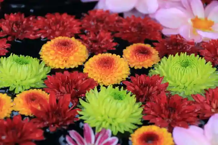 大鏑神社の手水舎