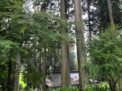大宮温泉神社のその他建物