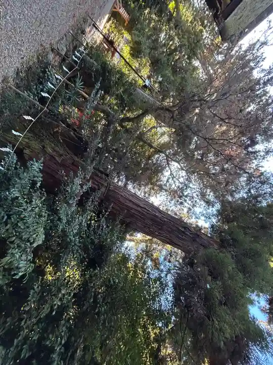 香取神宮(千葉県)