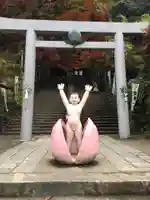 桃太郎神社(栗栖)の鳥居