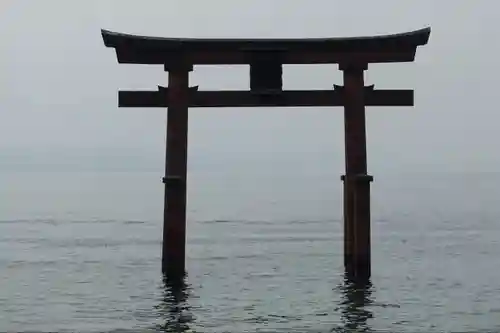 白鬚神社の鳥居