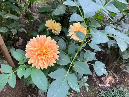 上野東照宮(東京都)