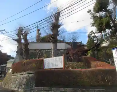 大蓮寺(神奈川県)