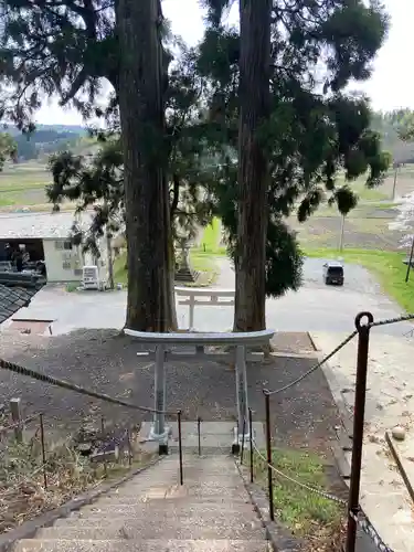 白鬚神社の鳥居