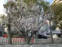 生田神社(兵庫県)