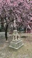 屯倉神社(大阪府)