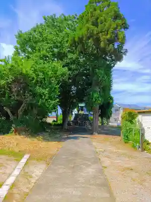 愛宕社(杉山)の自然