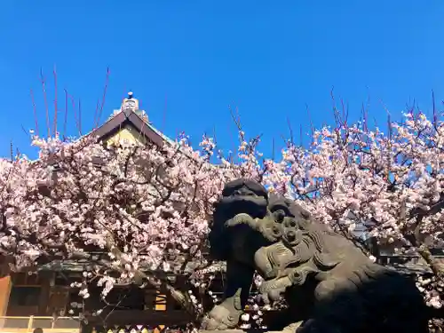 湯島天満宮の狛犬