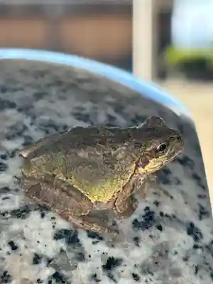 田中神社(滋賀県)