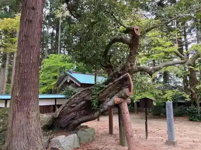 乙寳寺(新潟県)