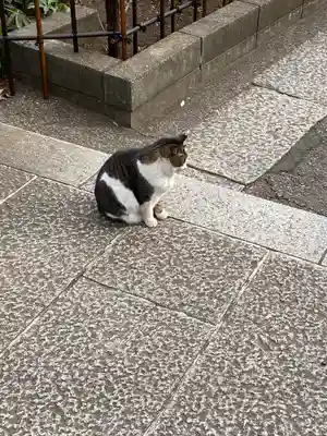白山神社(東京都)