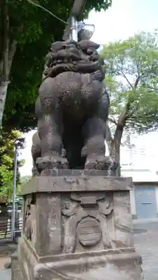 岩淵八雲神社の狛犬